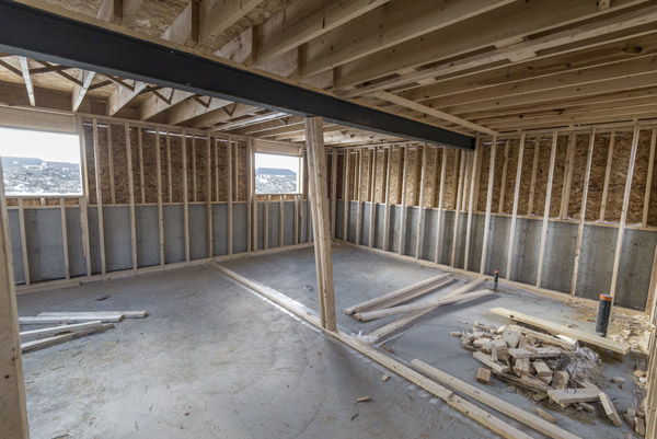 Basement Renovation